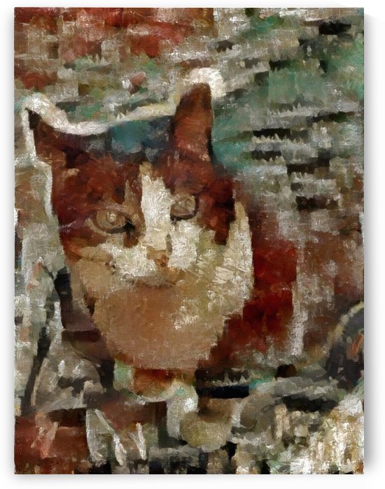 Cat by Bruce Rolff