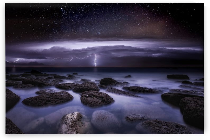 Electric dreams by Jorge Maia