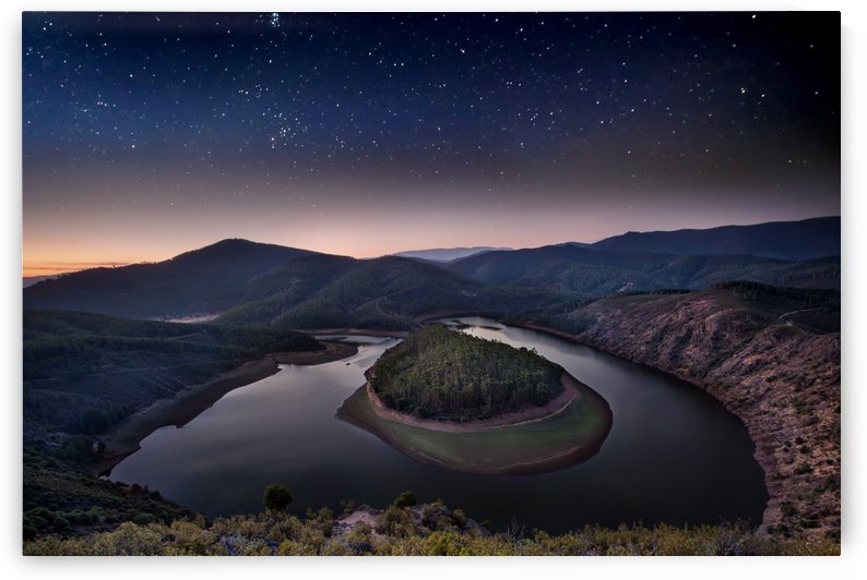 Whispers in the dark by Jorge Maia