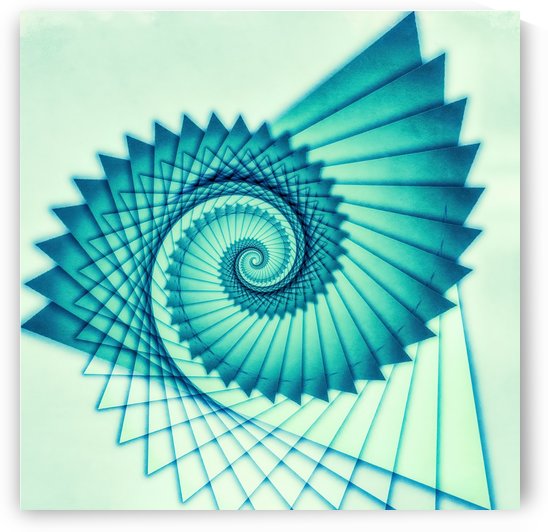 Composition de Nautile by Jon Woodhams