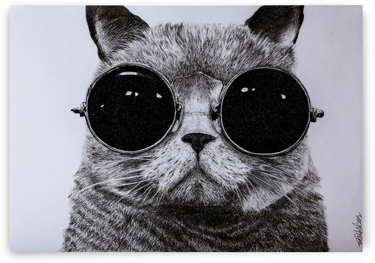 The Cat with glasses by Tpencilartist