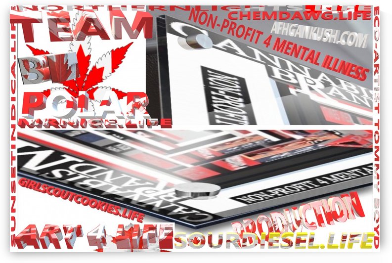 ECO ARTIST TOMMY BOYDMARIJUANA MASTER GROWER 5 by KING THOMAS MIGUEL BOYD