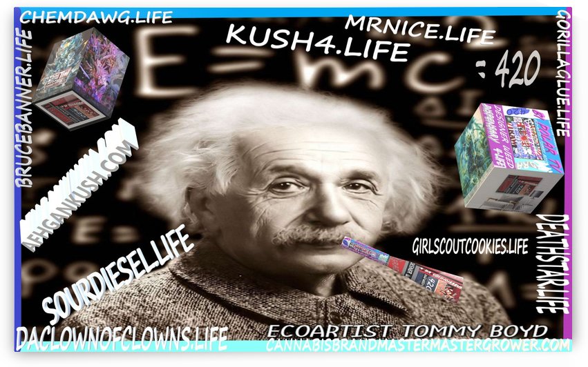 E=MC2=420  by KING THOMAS MIGUEL BOYD