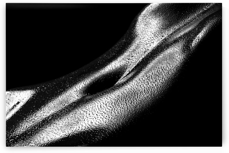 Female oily stomach close-up by Johan Swanepoel