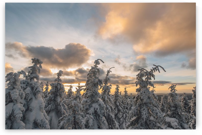 Winter sky by StephanieAllard