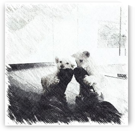 Playful white lion cubs by Lindsee Peterson