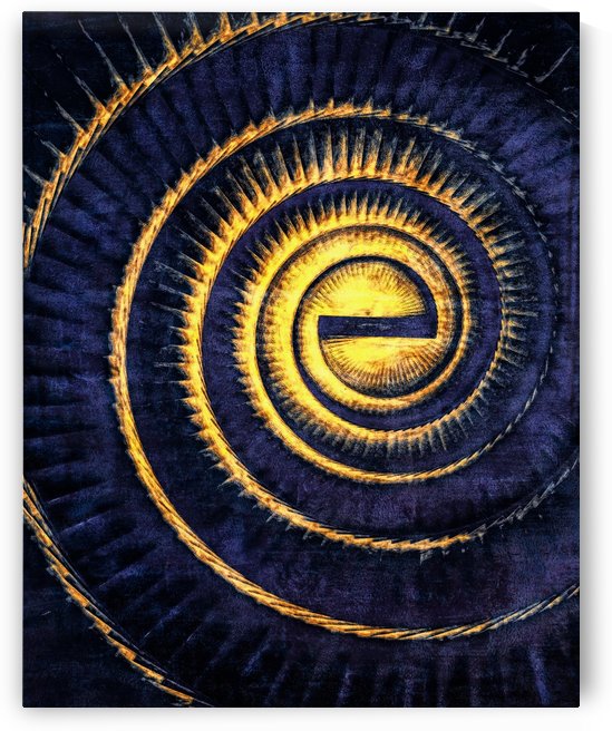 Reflections in a Golden Eye by Jon Woodhams