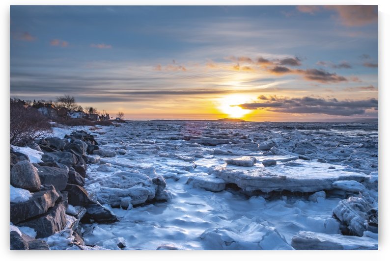 Winter contrast by Adrien Cote