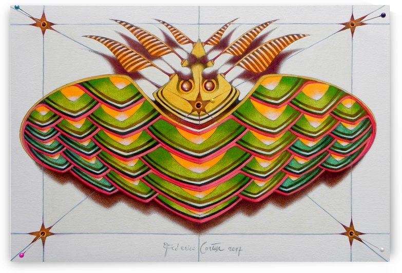 the hop moth by federicocortese