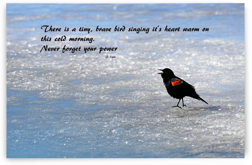 The Power Within by Deb Oppermann