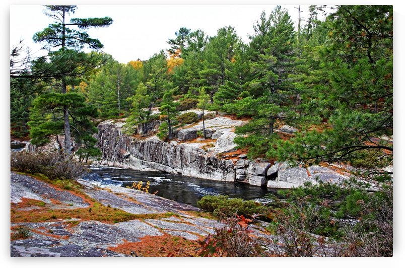 Overlooking The French River by Deb Oppermann