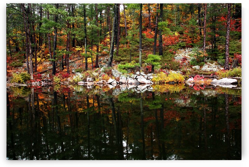 Color My World by Deb Oppermann