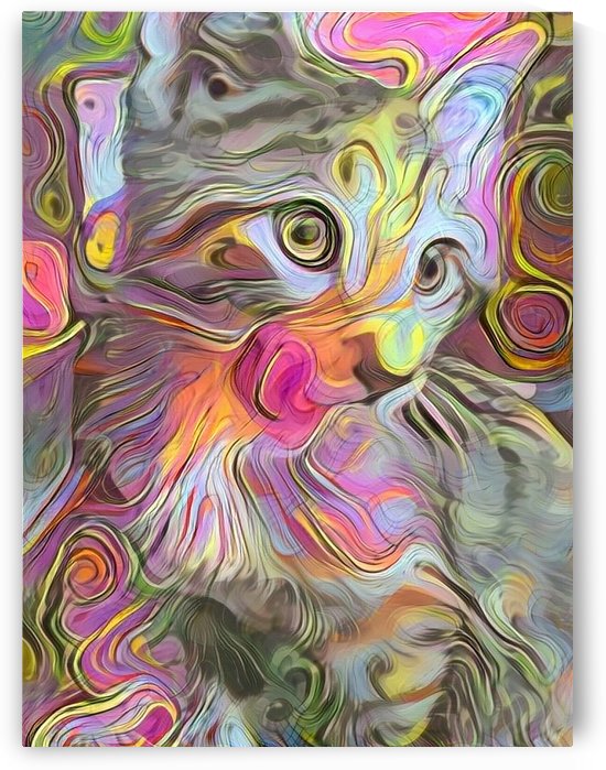 Kitty by Bruce Rolff