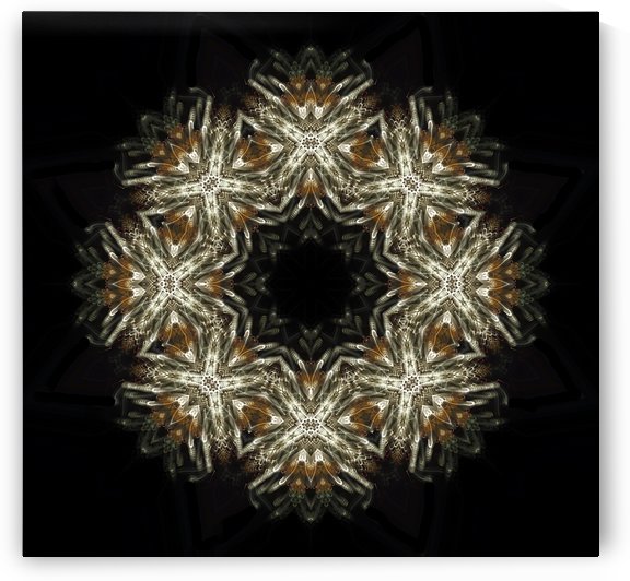 A.P.Polo - CERN by A P Polo