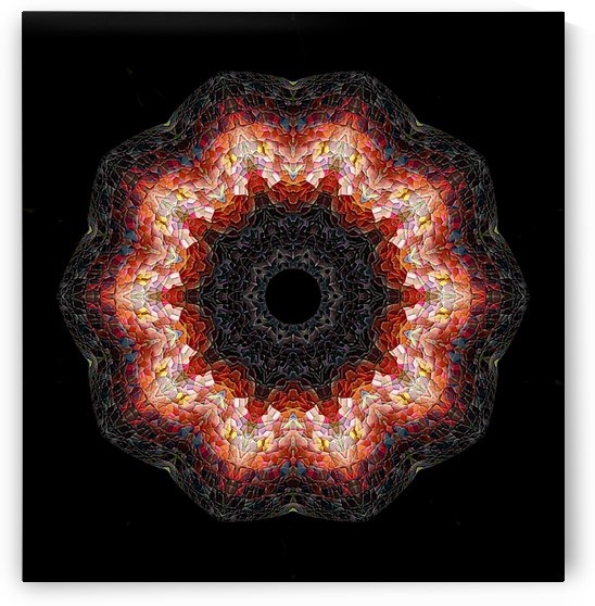 A.P.Polo - Schwarzschild-Metrik by A P Polo