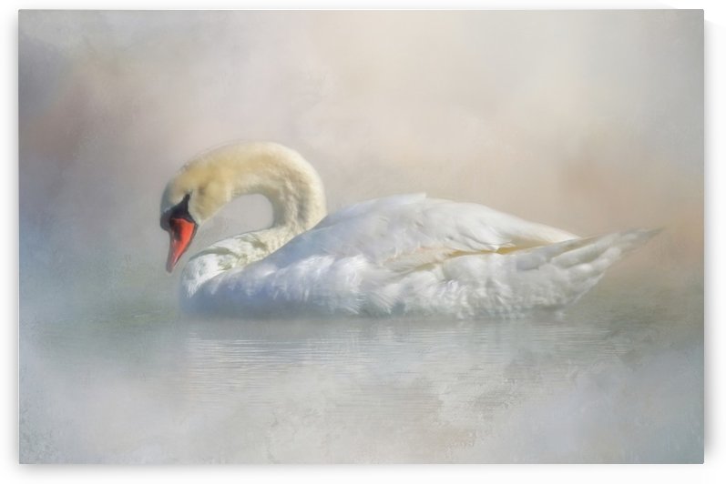 Out Of The Mist by HH Photography of Florida