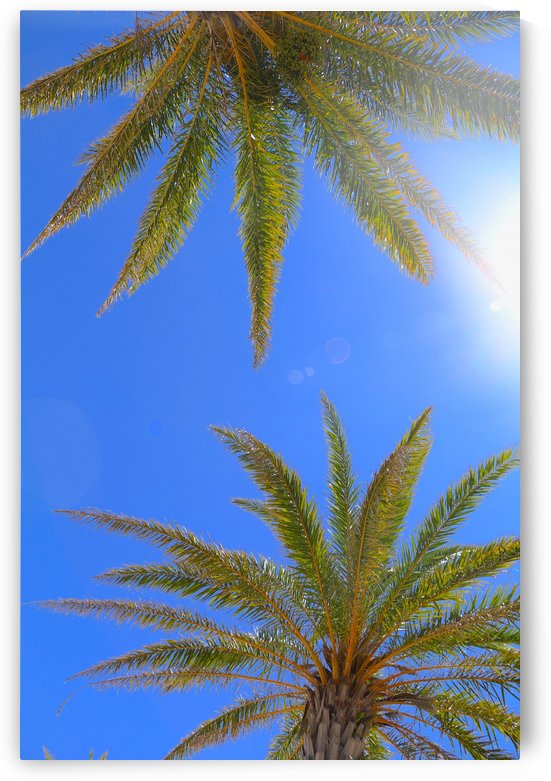 Sweaty Palms by IsabelVictoria