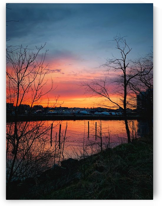 Liquid sunsets by Shalini Mimani