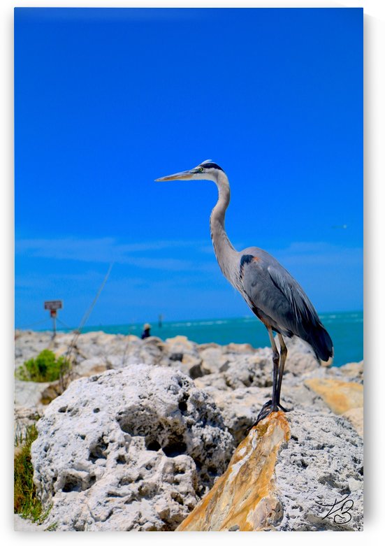 Standing Ovation  by IsabelVictoria