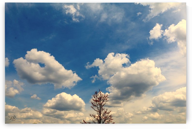 Eternal Flare  by IsabelVictoria