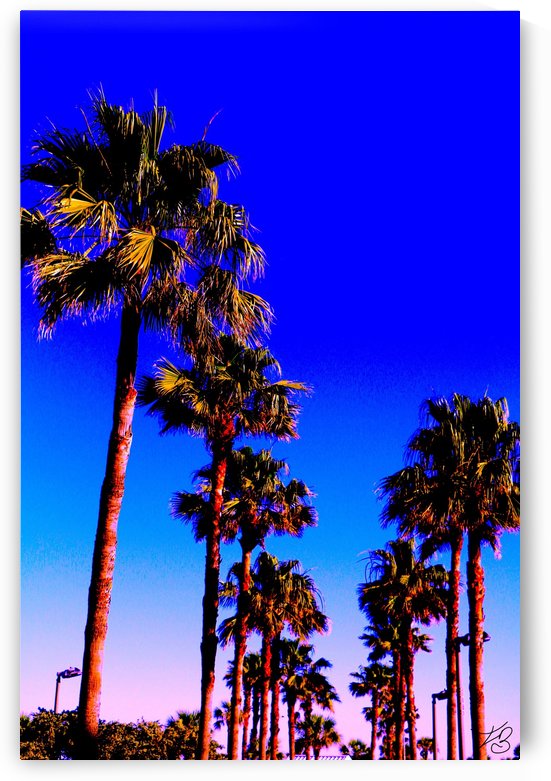 Sweaty Palms Part 2  by IsabelVictoria