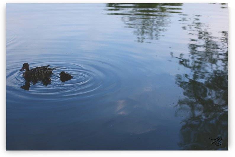 Family Reunion  by IsabelVictoria