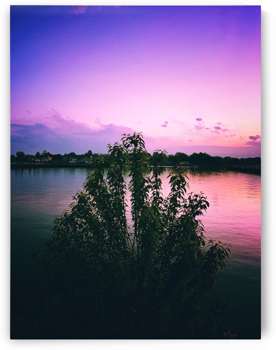 Hues by Shalini Mimani