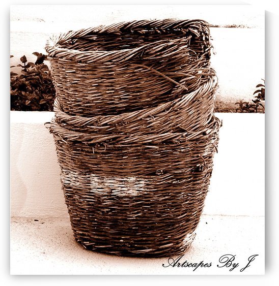 Grape Baskets by Artscapes By J