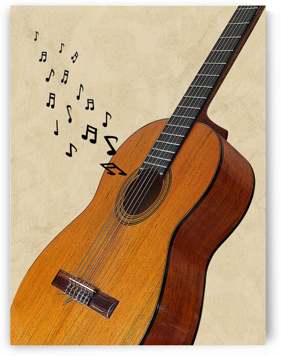 Acoustic Guitar Sounds by Gill Billington