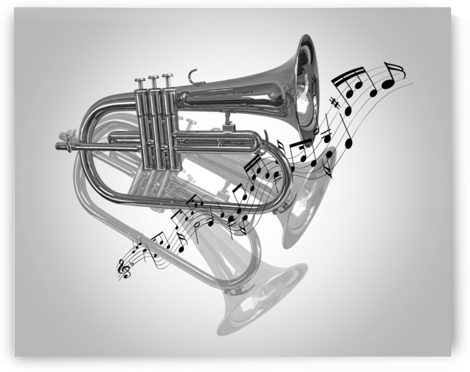 Trumpet Fanfare Black and White by Gill Billington