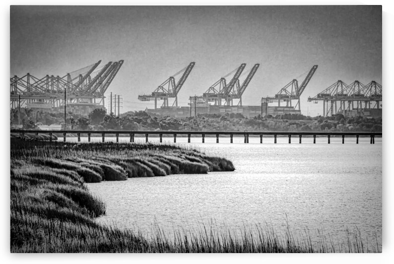 Savannah Shipyard Marsh Silhouette 1 by Norma Brandsberg Photography