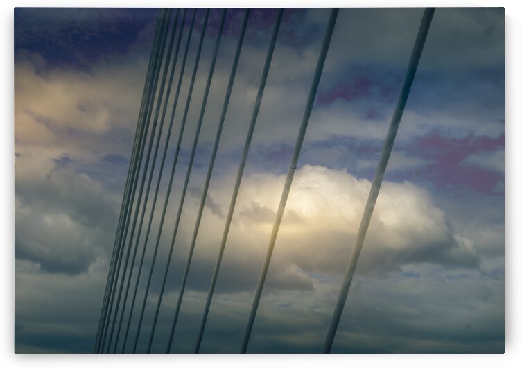 Savannah Bridge Support Wires by Norma Brandsberg Photography