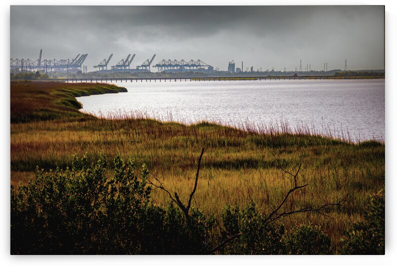 Savannah Shipyard Marsh Silhouette by Norma Brandsberg Photography