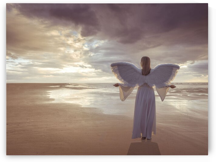 Sea Angel by Assaf Frank