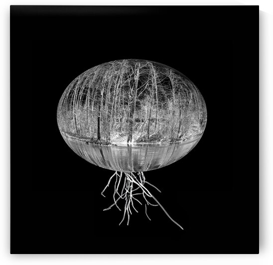 Entangled Existence by Le Boulanger