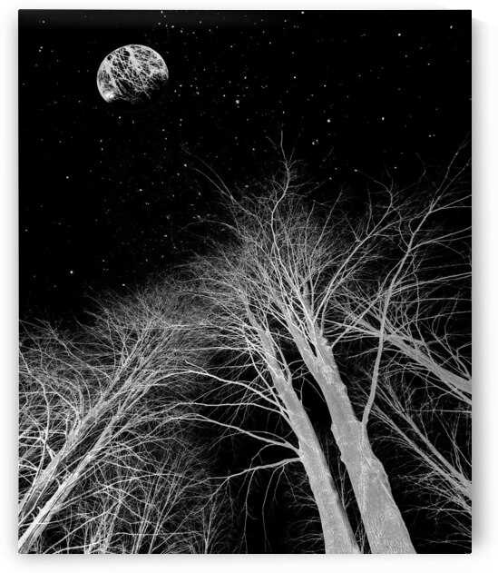 Bright on Black by Le Boulanger