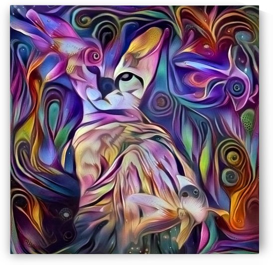 Kitty by Bruce Rolff