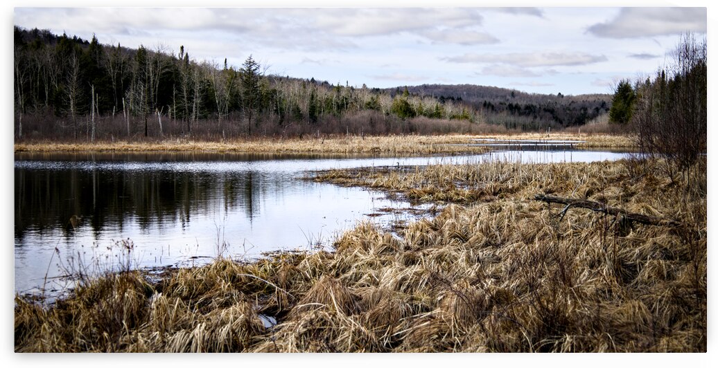 Le Marais by Sylvain Martin