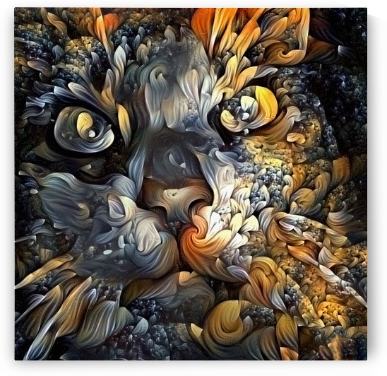 Cat Eyes by Bruce Rolff