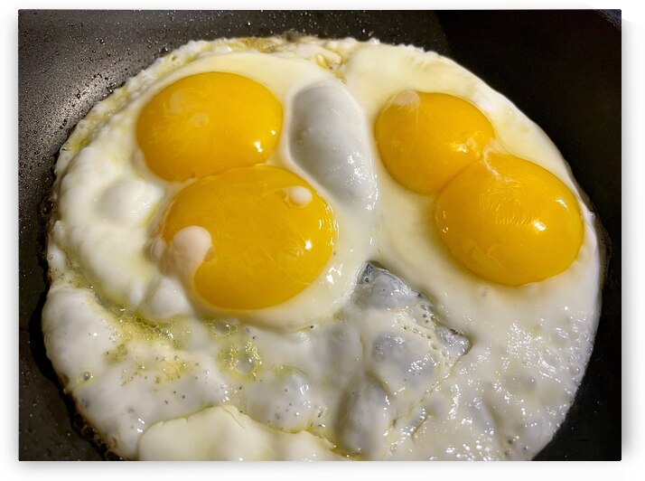 Double Double Yolk by Bill Swartwout Photography