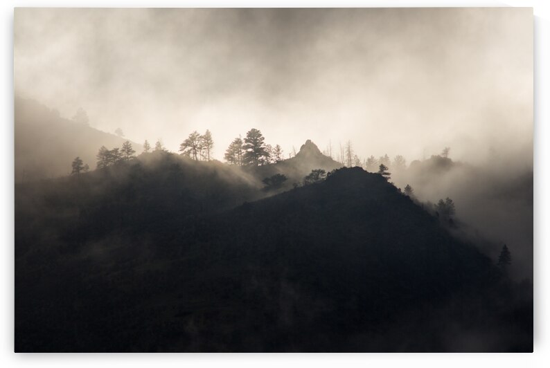 Mountain Mist by B Zolle