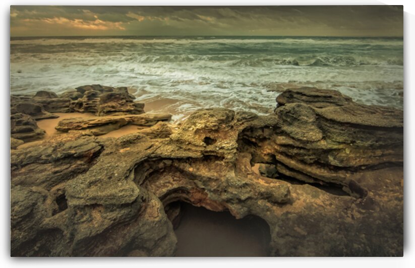 Florida Seaside Coquina Textures by Norma Brandsberg Photography