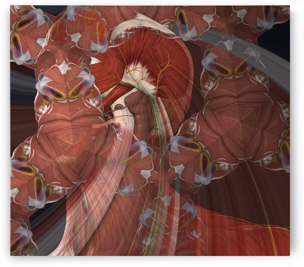  Muscle man has replaced his face by Shea Michaels