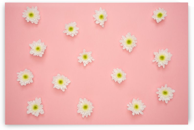 Transitions by Corvin Sneder