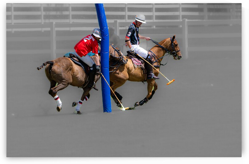 BZ9 2941 Enhanced NR by Susan Lynn Cooke