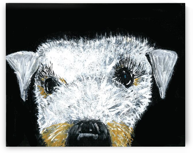 Schnauzer portrait by Robert Burton