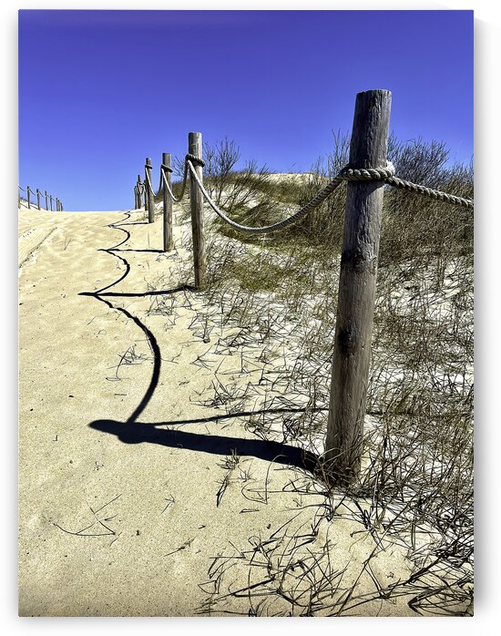 Pathway Across a Dune to the Beach by Bill Swartwout Photography