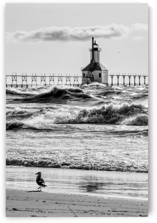 Birds And Waves At St Joseph Lighthouse Grayscale by Jennifer White