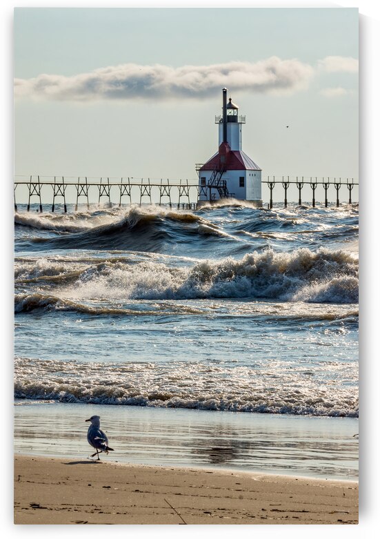 Birds And Waves At St Joseph Lighthouse by Jennifer White