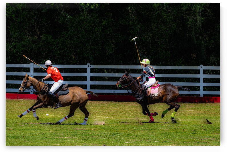 BZ9 2608 Enhanced NR by Susan Lynn Cooke